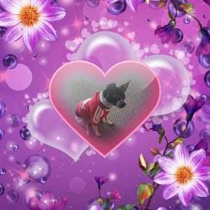 Meet your Posher, Debra